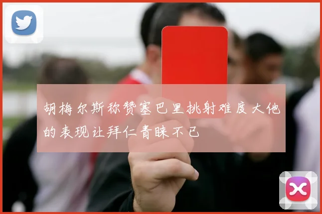 胡梅尔斯称赞塞巴里挑射难度大他的表现让拜仁青睐不已
